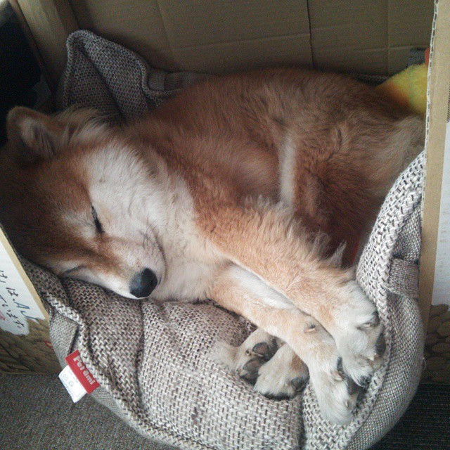 史诗级逆转：欧冠赛场的“逆风翻盘”记忆，欧冠历史最佳逆转